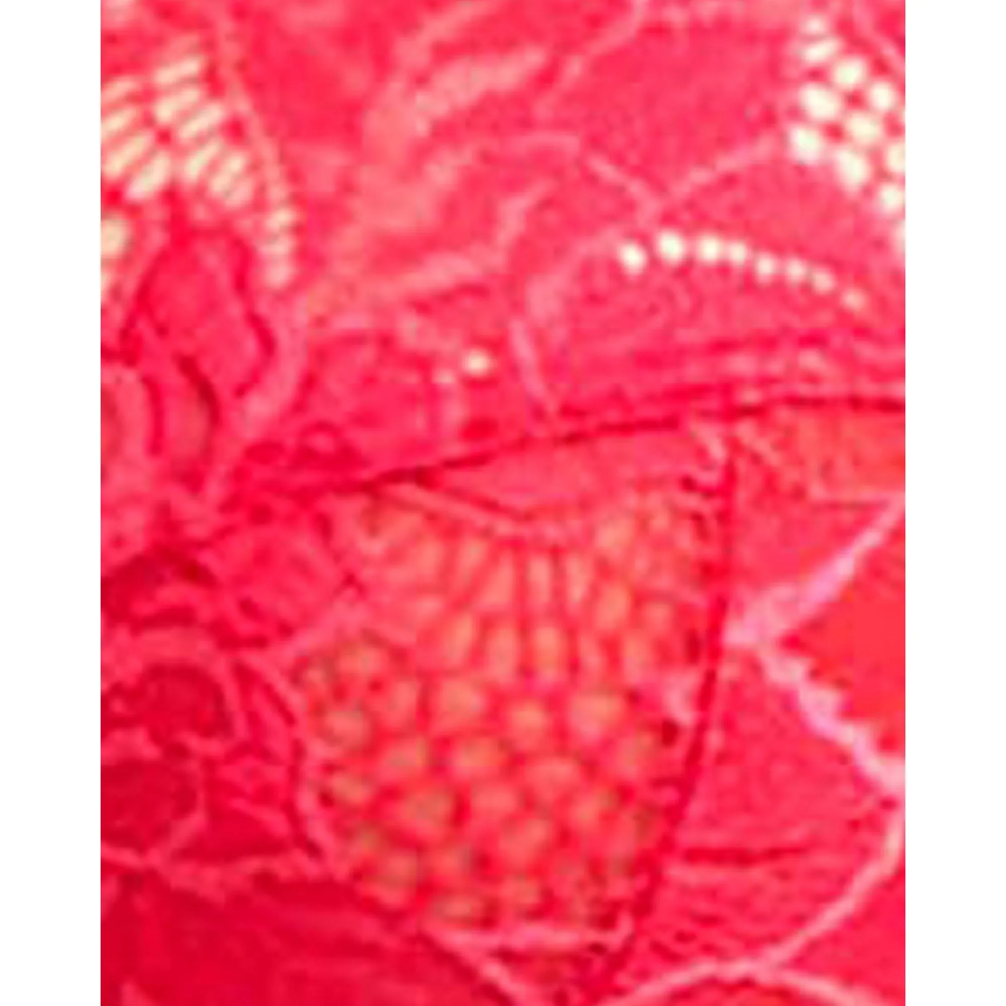 Arum Trend Sheer Lace Longline Balconette Bra