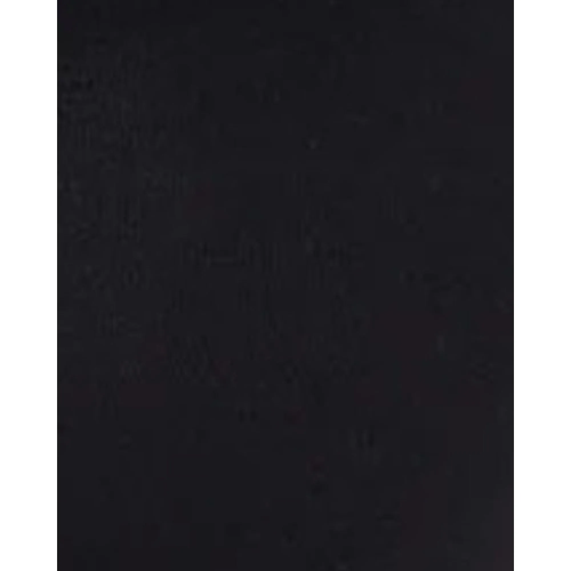 Prestige Wirefree Push Up Plunge Bra Black